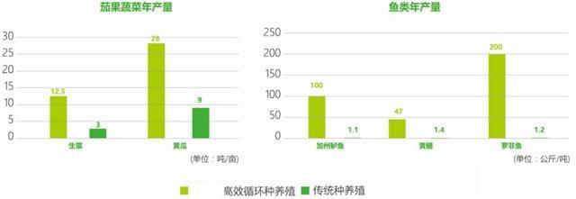 滚球下注官网